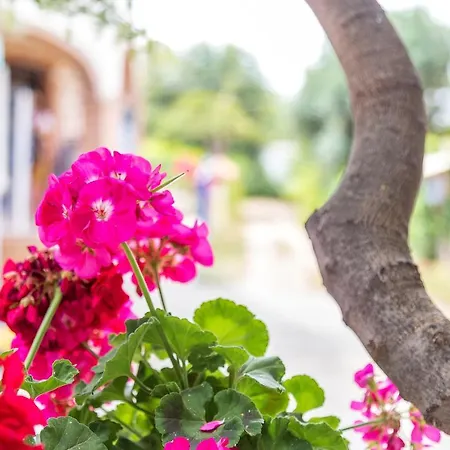 Lungomare Apartment Santa Maria Navarrese